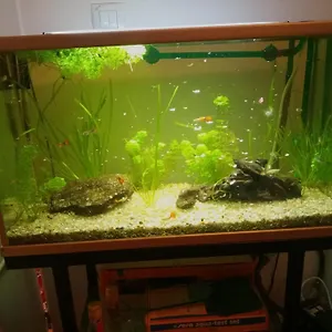 Duplex Lujo Lejona
