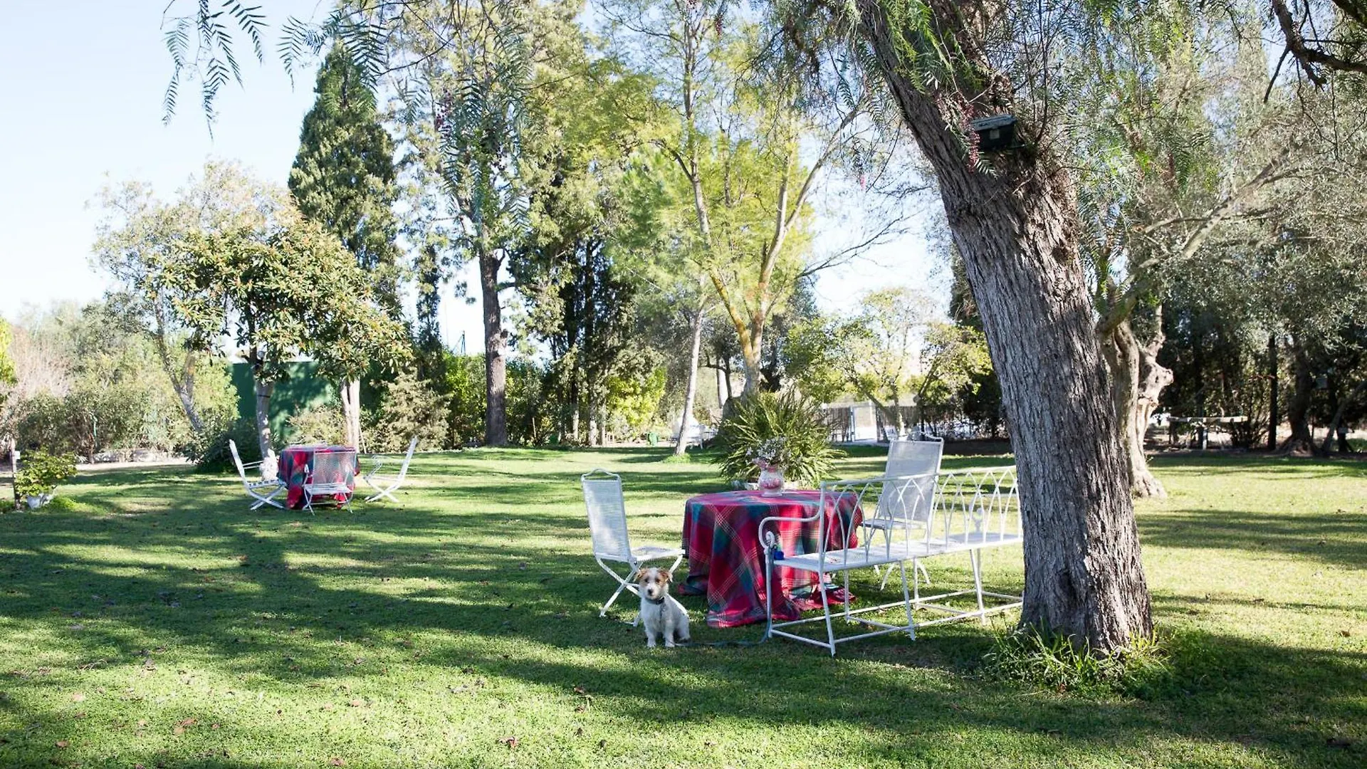 Villa Cortijo Rural La Mariscala Jerez de la Frontera