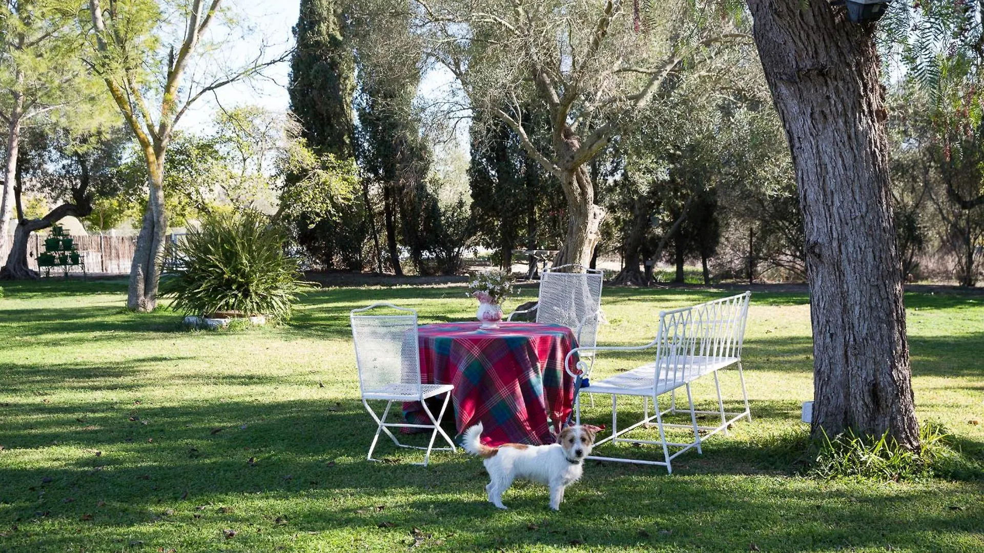 Villa Cortijo Rural La Mariscala Jerez de la Frontera 0*,  España